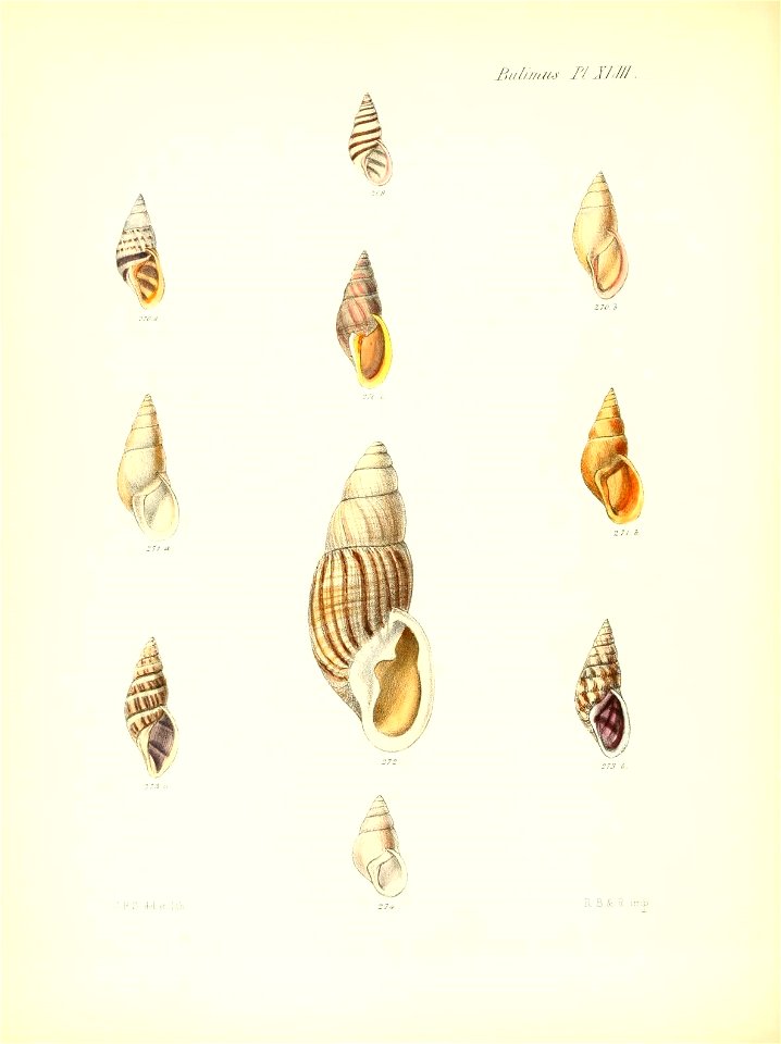 n181_w1150