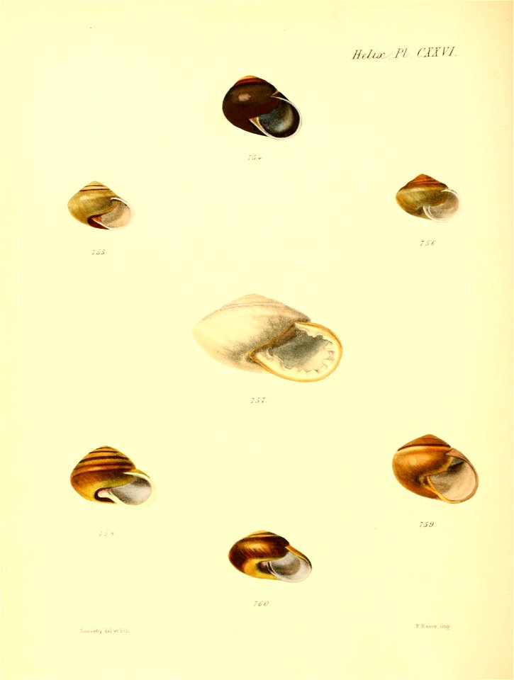 n523_w1150