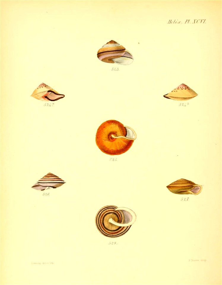 n391_w1150