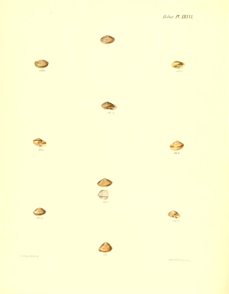 n151_w1150