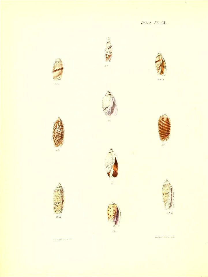 n393_w1150