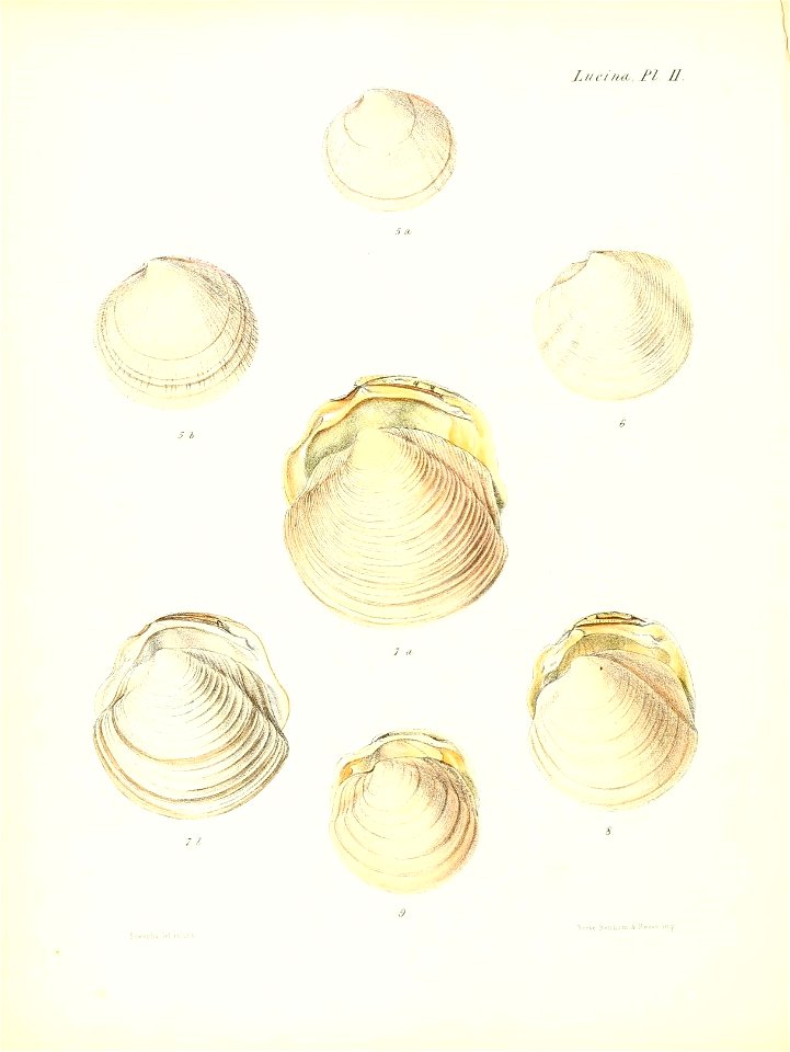 n267_w1150