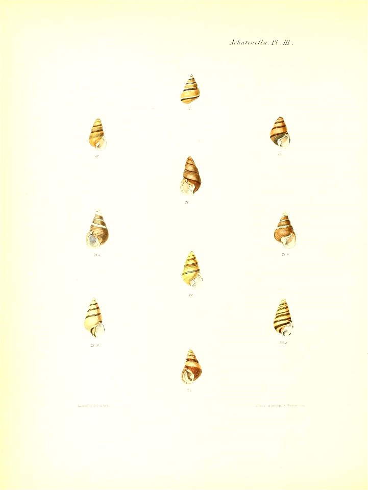 n199_w1150