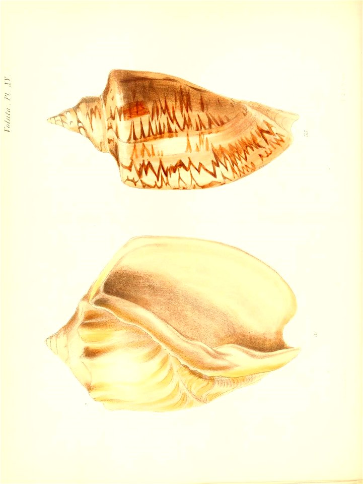 n67_w1150