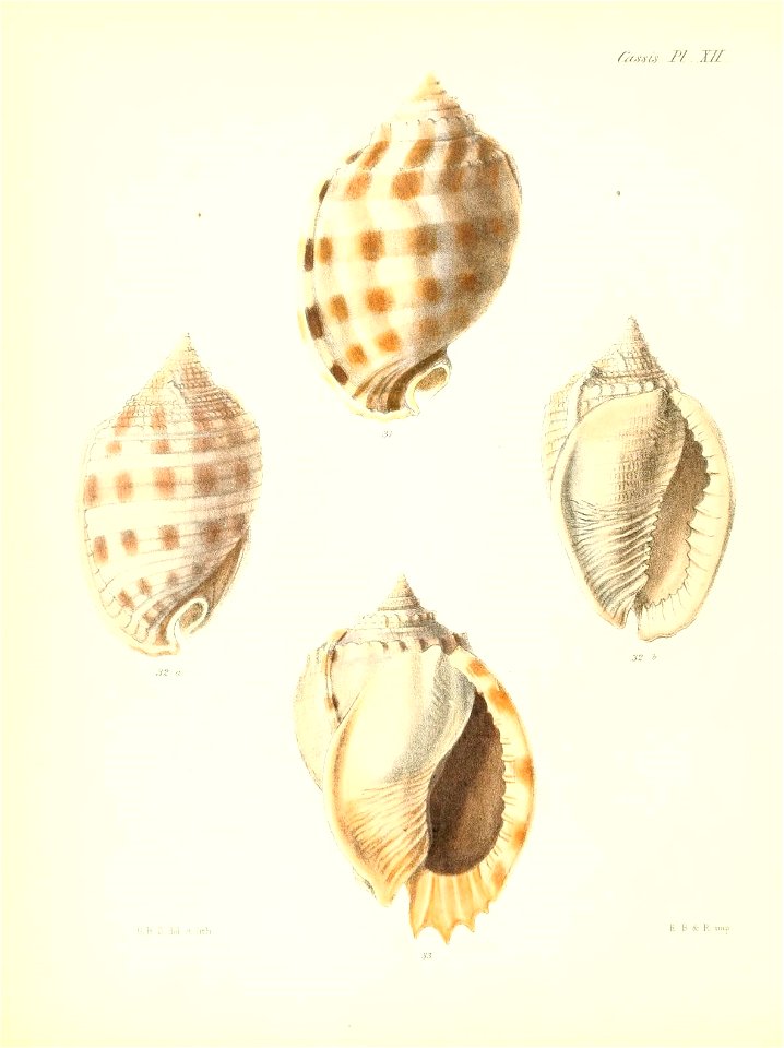 n561_w1150