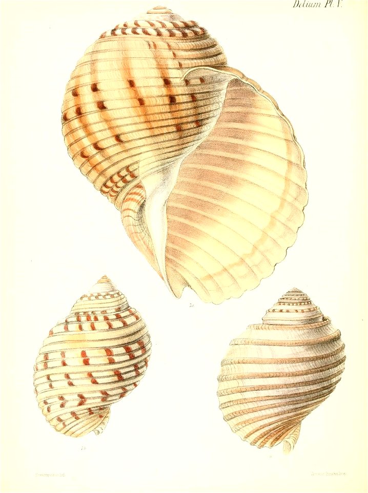 n497_w1150
