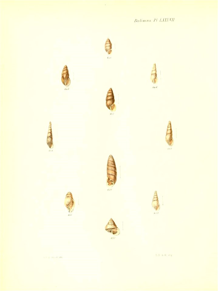 n359_w1150