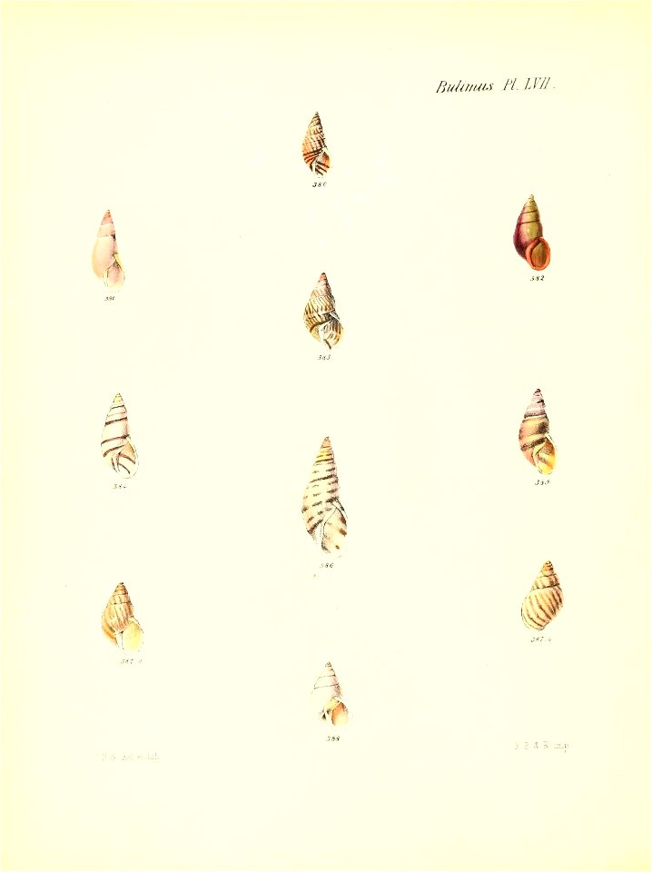 n237_w1150