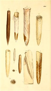 n417_w1150