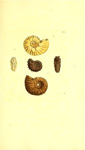 n166_w1150