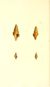 n103_w1150