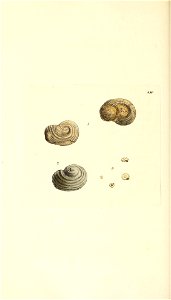 n169_w1150