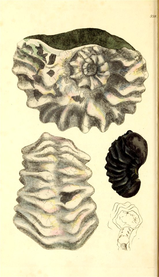 n163_w1150