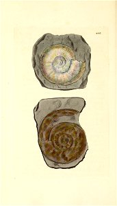 n163_w1150