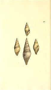 n295_w1150