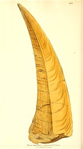 n319_w1150