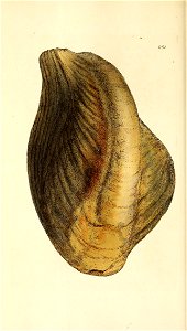 n203_w1150