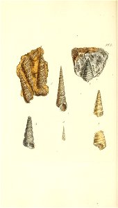 n265_w1150
