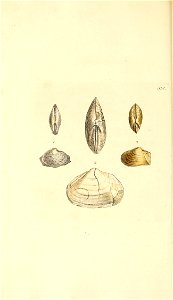 n141_w1150
