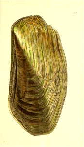 n18_w1150