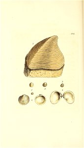 n149_w1150