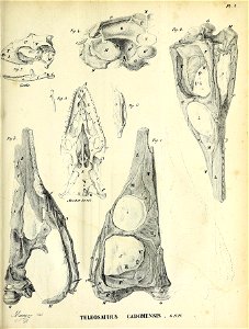 n220_w1150