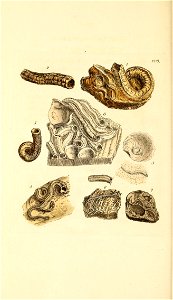 n453_w1150