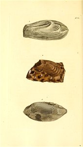 n195_w1150