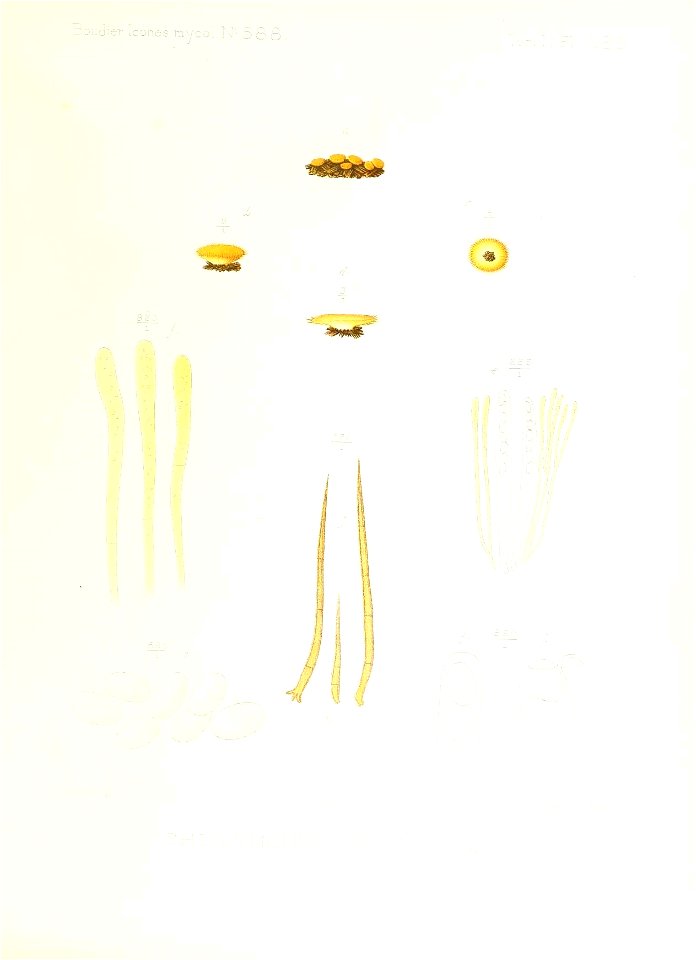 n404_w1150