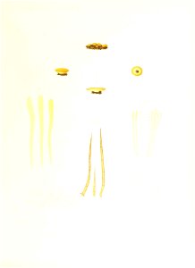 n404_w1150