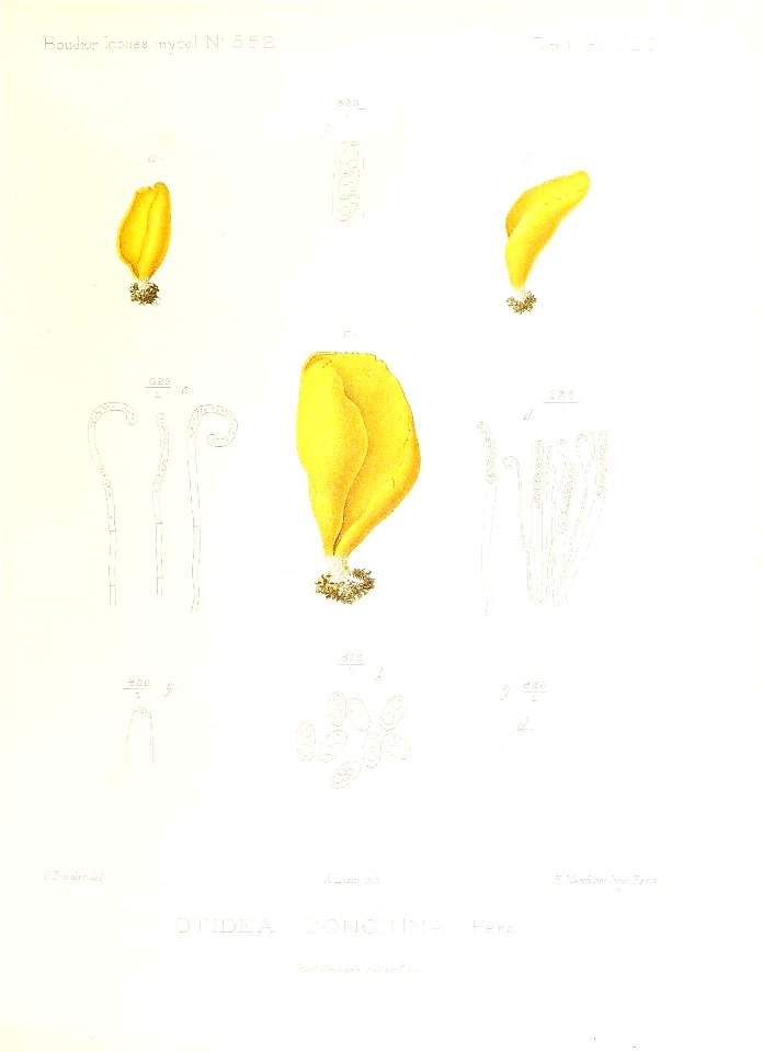 n284_w1150