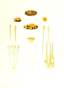 n402_w1150