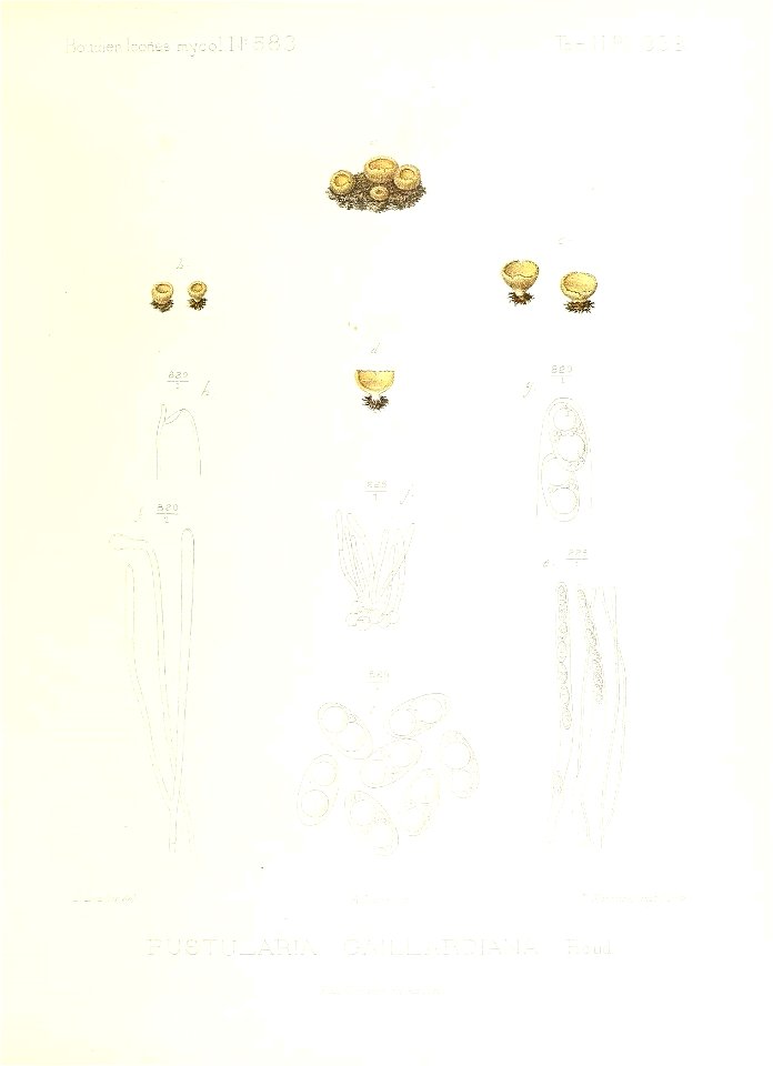 n312_w1150
