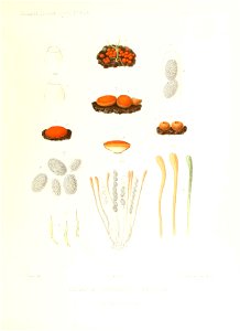 n372_w1150