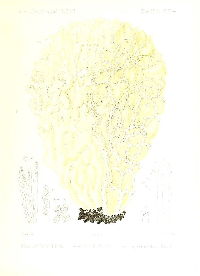 n222_w1150