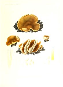 n192_w1150