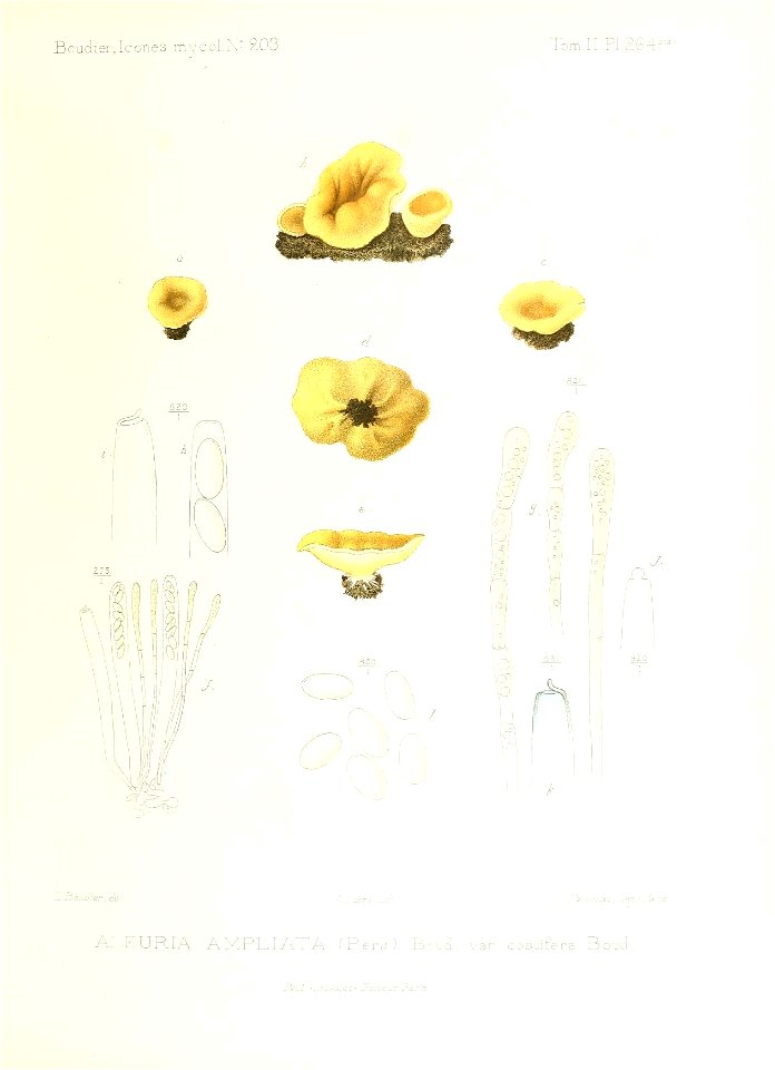 n162_w1150