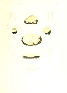 n220_w1150