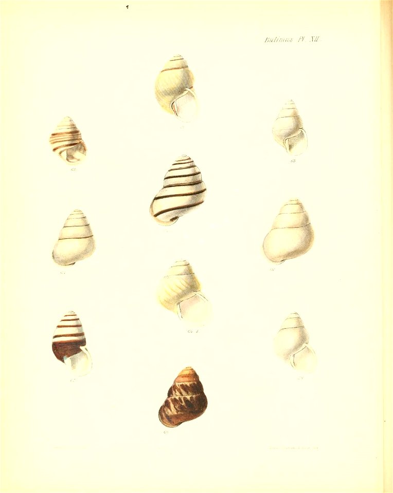 n57_w1150