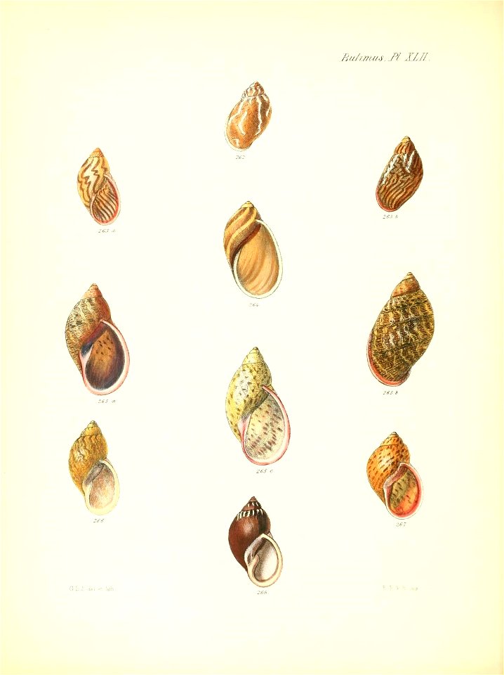 n177_w1150