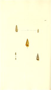 n311_w1150