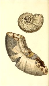 n361_w1150