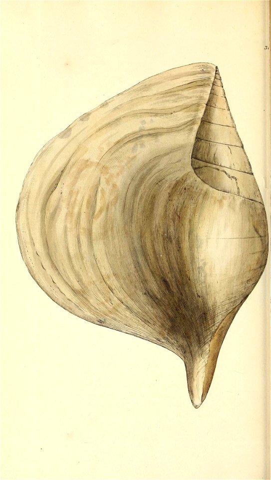 n393_w1150