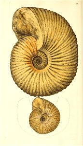 n413_w1150