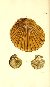n157_w1150
