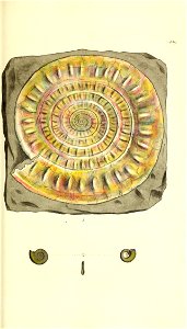 n166_w1150