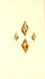 n111_w1150