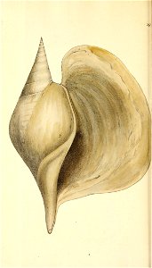 n391_w1150