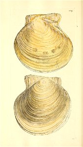n147_w1150