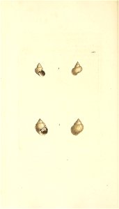 n107_w1150